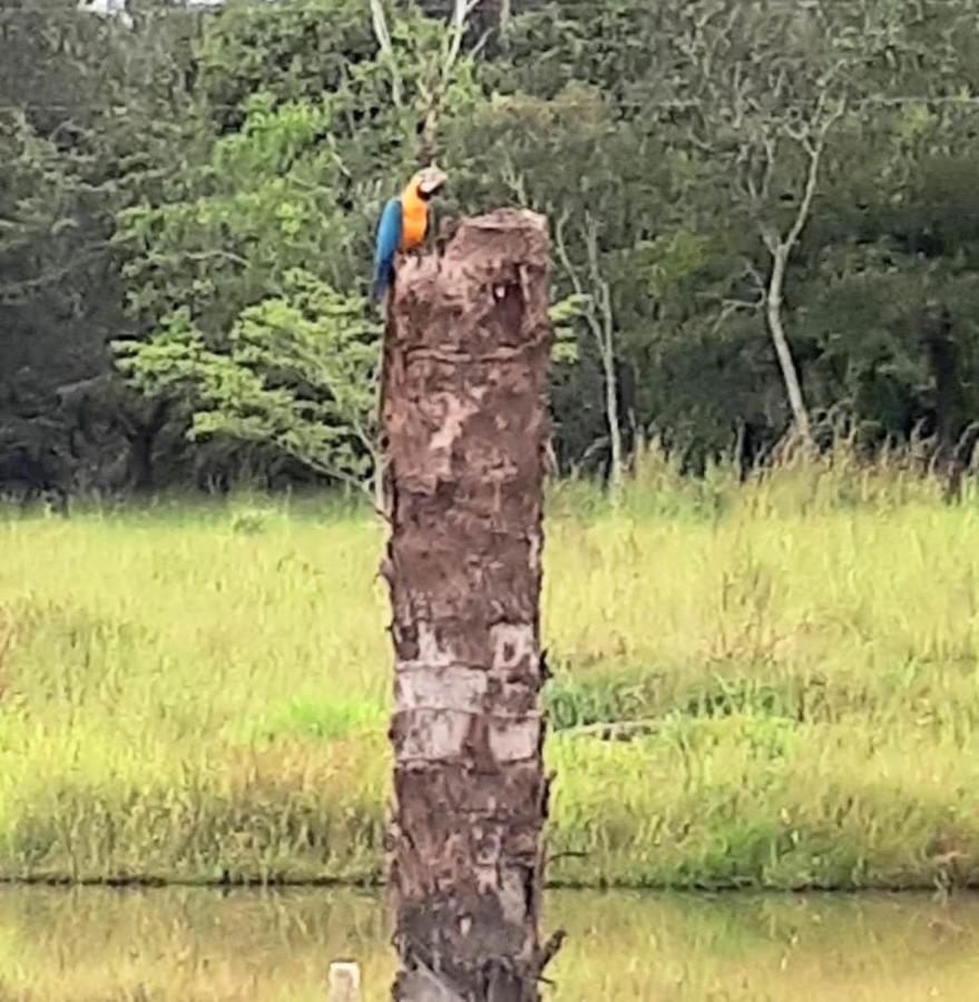 Reserva Jasmim Manga Villa Pirenópolis Kültér fotó